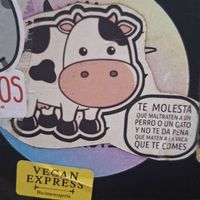 Spilling facts 🌱❤️ at Viko in Mexico City