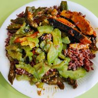 Brown rice with bittergourd, ladies finger and sweet & sour fish at 3 Dishes Rice 三样菜饭 - Bugis in Central Singapore