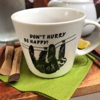   at Vegan's Prague in Prague