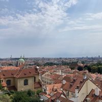   at Vegan's Prague in Prague