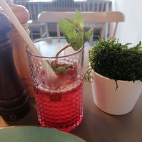  at Vegan's Prague in Prague