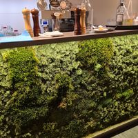 Living moss on the counter at Vegan's Prague in Prague