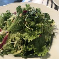 Salad  at Vegan's Prague in Prague