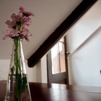 Lovely interior, very cozy  at Vegan's Prague in Prague