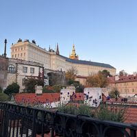  at Vegan's Prague in Prague