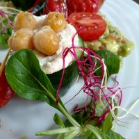 cucumber filled with hummus on the starter plate at Vegan's Prague in Prague