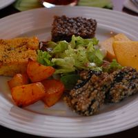 Main dish at Vegan's Prague in Prague