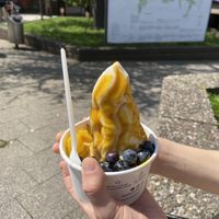 Yomaro's Favorite with mango sauce   at YOMARO in Cologne