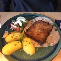 Schnitzel with mushroom cream (~15€) at Steffenhagen in Dresden