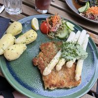   at Steffenhagen in Dresden