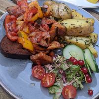  at Steffenhagen in Dresden