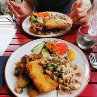  at Steffenhagen in Dresden