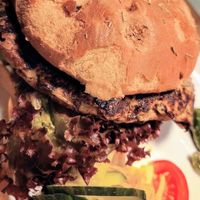  at Steffenhagen in Dresden