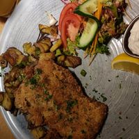 Schintzel. at Steffenhagen in Dresden