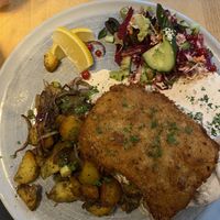   at Steffenhagen in Dresden