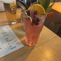   at Steffenhagen in Dresden