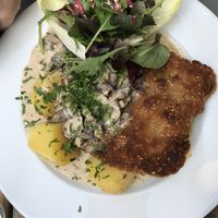 Schnitzeljagd at Steffenhagen in Dresden