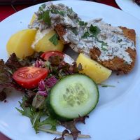 Schnitzeljagd  at Steffenhagen in Dresden