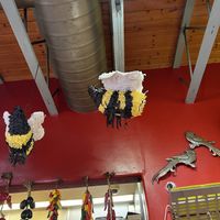   at Bumble Bees Baja Grill in Santa Fe