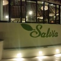 Located on the beach at Salvia in Playa Del Carmen