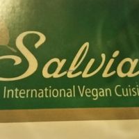 It's all vegan! at Salvia in Playa Del Carmen