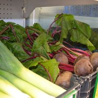 Fresh vegetables at Biofrade - A Loja da Horta in Lourinha