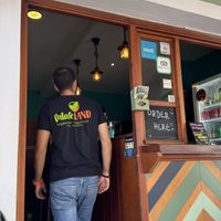   at FalafeLand in Santorini