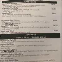 Veggie part of the menu  at The Thai Place in Sturbridge