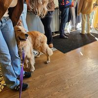 Line out the door at Coffee Lab Roasters in Tarrytown
