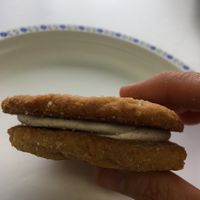 Peanut butter chai cookie  at Veg-In YYC Re-Planted in Calgary