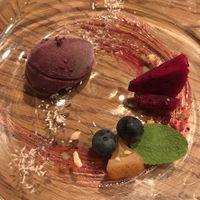 Beautiful home made sorbet  at Ukishima Garden in Kyoto