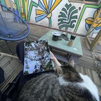   at Miau in Bucharest