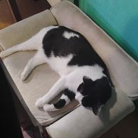  at Miau in Bucharest