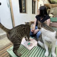   at Miau in Bucharest