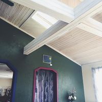 The ceiling and accent wall. at Oy Vey Jewish Bakery and Delicatessen in Terre Haute