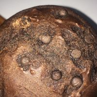 Muffin choc at A Darle Que es Taco Vegano - Churubusco in Mexico City