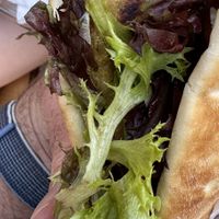   at Alexander's Greek Cuisine in Roseburg