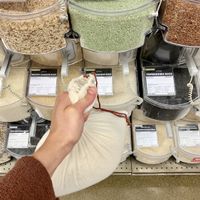 Bulk jasmine rice  at Lakewinds Food Co-op in Richfield