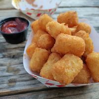 Crispy perfectly-fried tater tots at Arlo's Food Truck - Spider House Cafe in Austin