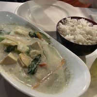 Tofu and vegetable green curry with rice   at Cafe Thailand in Cairns