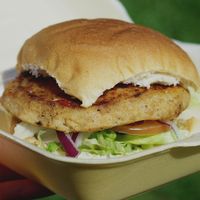 Vegan burger at Breakfast Brunch and Lunch in Edinburgh