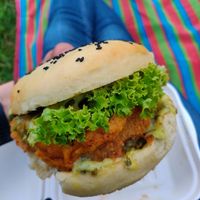 "Geflügelte Träume" at Universum in Hannover