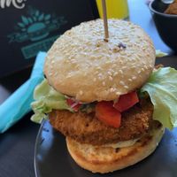   at Universum in Hannover