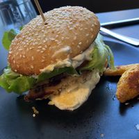   at Universum in Hannover