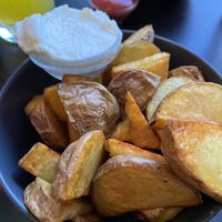   at Universum in Hannover