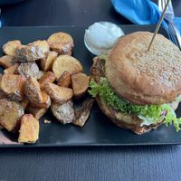   at Universum in Hannover