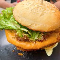 Geflügelte Träume  at Universum in Hannover