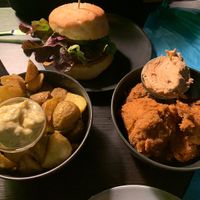   at Universum in Hannover