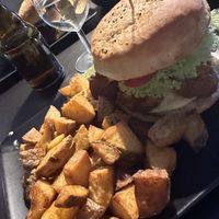   at Universum in Hannover