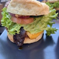 Der Wissenschaftler  at Universum in Hannover